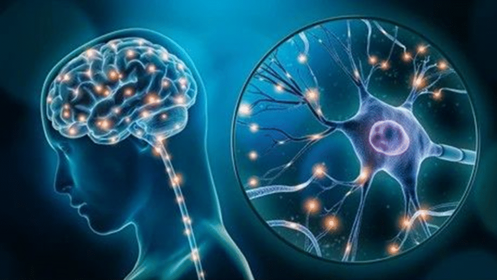 Pembangkit Listrik Alami: Kekuatan Energi Otak Manusia